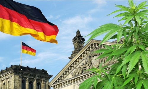 28/06/2022 Coalition Government Urged to Legalize Cannabis
POLITICA 
FAST BUDS/PR NEWSWIRE